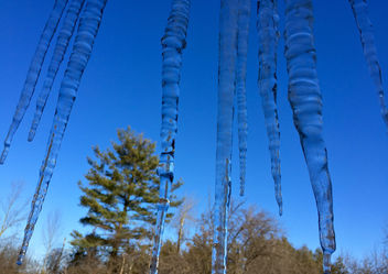 68:365 ice ice baby - image gratuit #296567